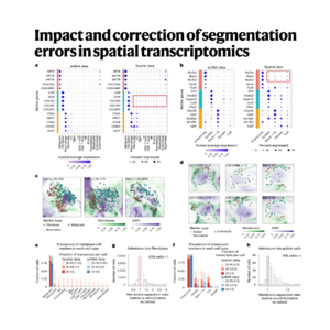 473-Correcting Segmentation Errors in Spatial omics