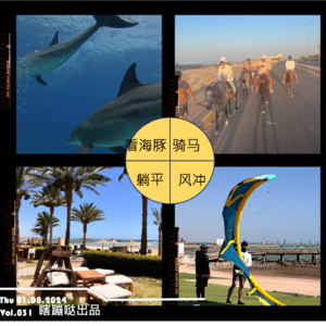 Vol031. 埃及游记第二弹：躺平，风冲，骑马，看海豚