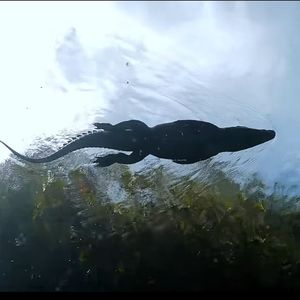 podcaster-avatar