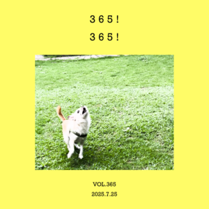 vol.365（下）：365天，都在歌里了！