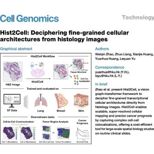 1082-Hist2Cell:基于组织病理图像的细粒度细胞架构解析