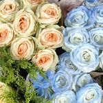 十里桃花_