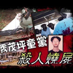 27.香港十大奇案：秀茂坪童党烧尸案（一）