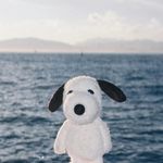 日出时让悲伤终结