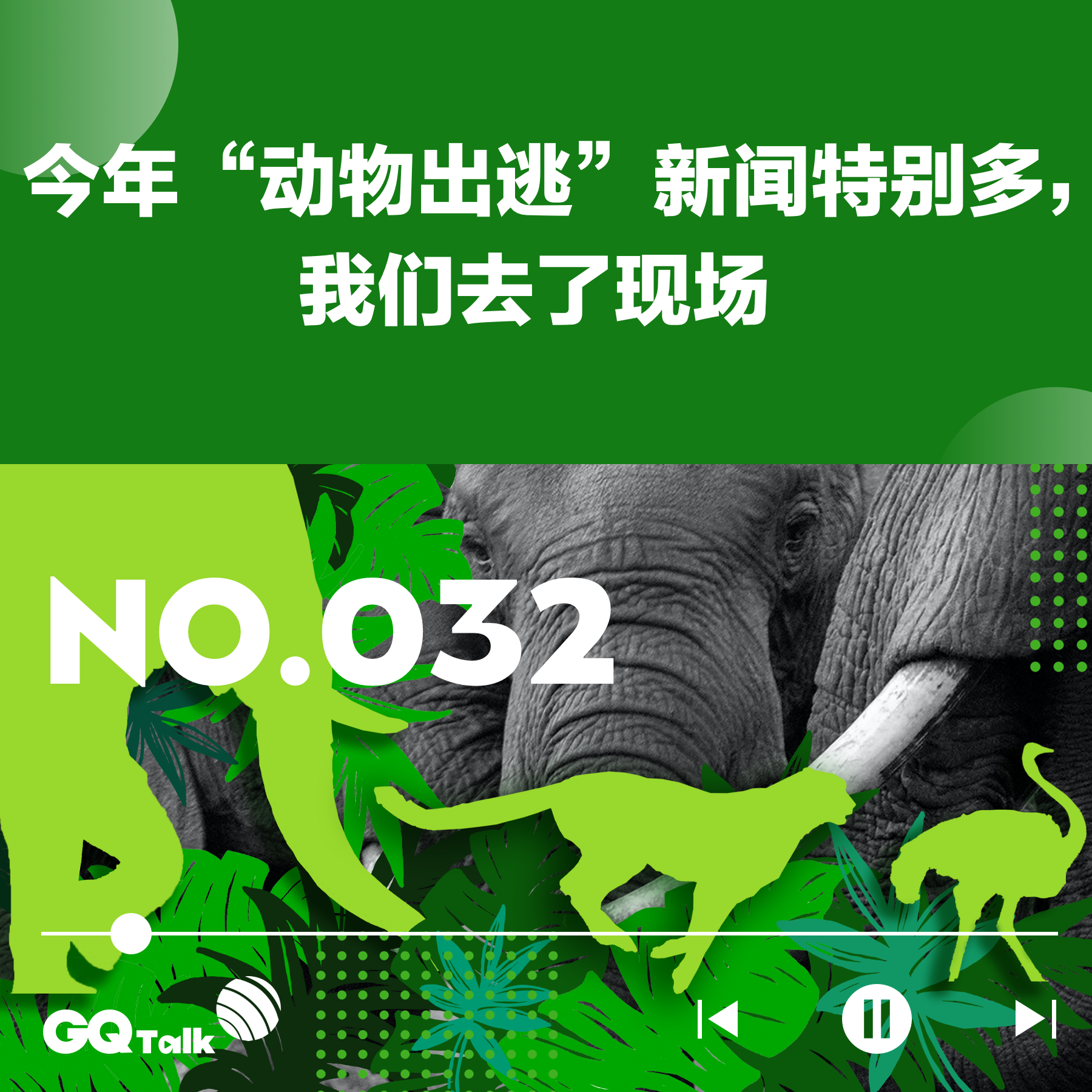 cover of episode 【032】今年“动物出逃”新闻特别多，我们去了现场