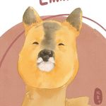 霖初一
