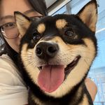 勇敢泡泡不怕困难