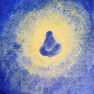 10日葛印卡内观(Vipassana)体验|身心脑三重蜕变,从迷茫焦虑到内心安定