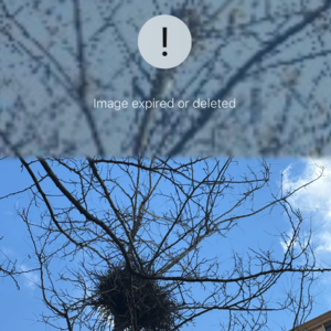 Vol.49 如实记录，我们生活中的闪光时刻