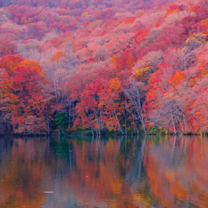 EP61 跨资产市场状态分类