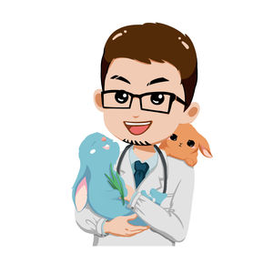 兔子必须绝育吗？