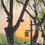 通通每条路都通