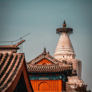 Vol.24 秋天就别在家Qiǔ着了！——闲聊北京秋日推荐路线