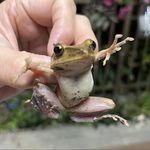 50歲是姊不是阿姨