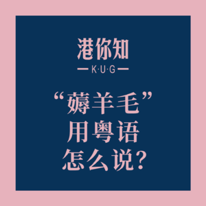 粤语学习丨“薅羊毛”用粤语怎么说？🤔