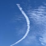 梧桐树下的小囡