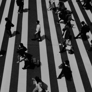 041. 保持在场,普通人提高胜率的最好方法