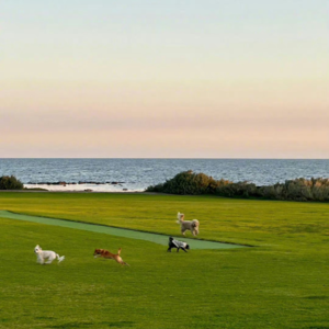 串台008｜停下不来的身体