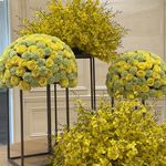 别把老板画的饼当曾女士