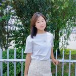 云木2024