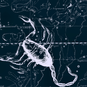 占星读书会 001｜上升天蝎