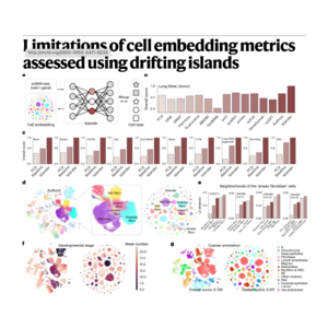 299-Limitations and Augmentation of Cell Embedding Metrics