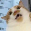 我打了一个嗝儿