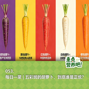 053.每日一菜 | 五彩斑的胡萝卜，到底谁是正统？