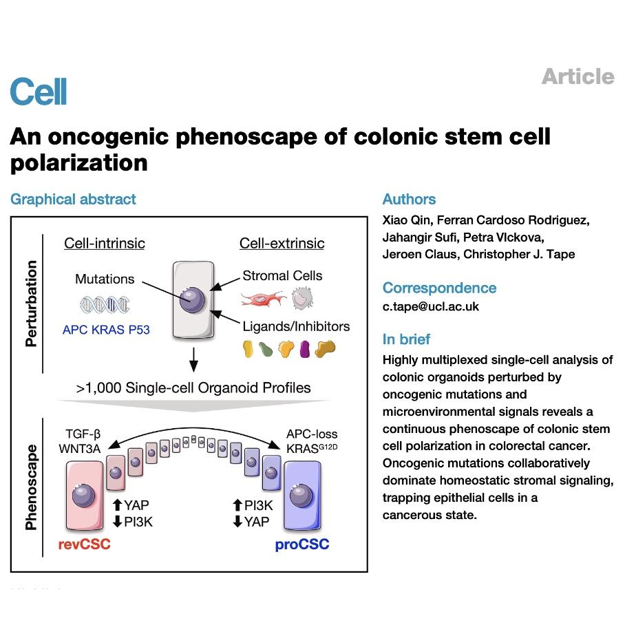 1377-Oncogenic Phenoscape of Colonic Stem Cell Polarization episode artwork