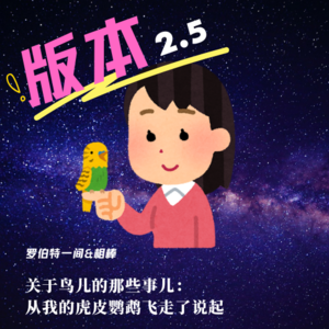 第三十二回 关于鸟儿的那些事儿：从我的虎皮鹦鹉飞走了说起