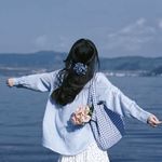一竹清欢