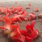 学习才能进步