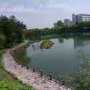 李伟_zb63