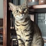 coco9989