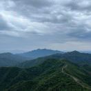 李少飞大成律师