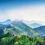 半盏清茶悟人生