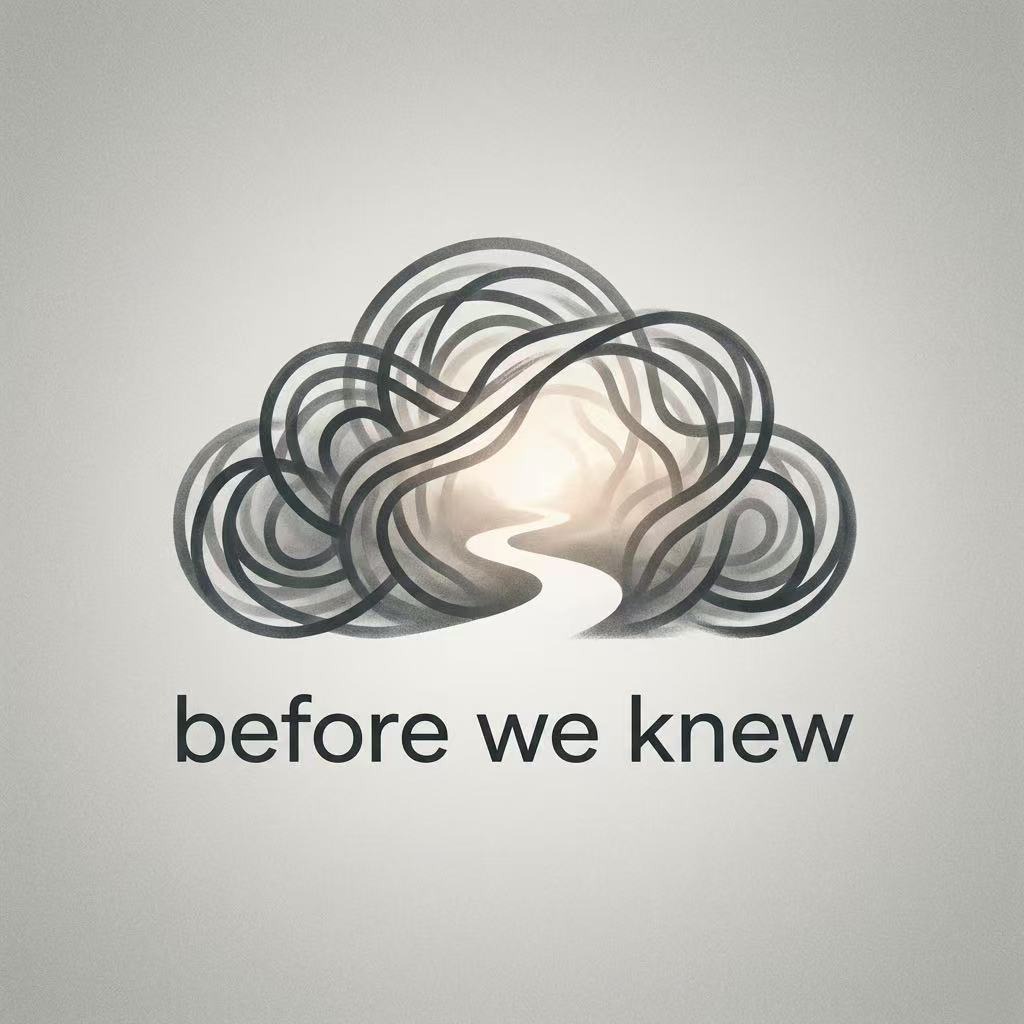 Before We Knew 雾散之前