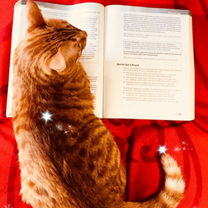 雅思口语Part 1高分语料 | Weekends 你周末通常做什么