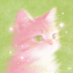 去码头整点猫条