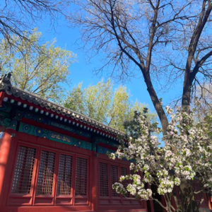 VOL.026从崴脚到手术台：一场关于身体、暂停与重建的对话