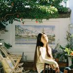 白猫九万岁
