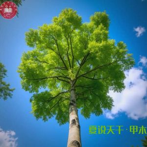 第172期 【夏说】读懂十天干① | 比MBTI更古老的性格测试，流传千年的先天人设（甲）