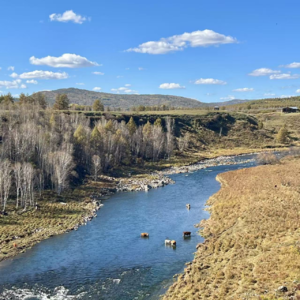 #1 呼伦贝尔阿尔山的秋天