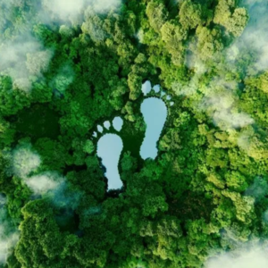 12a. 解读碳足迹:从业秘籍大赏&科普