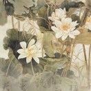 雾里寻正