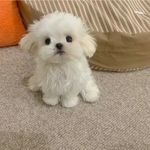 一桶吃不饱