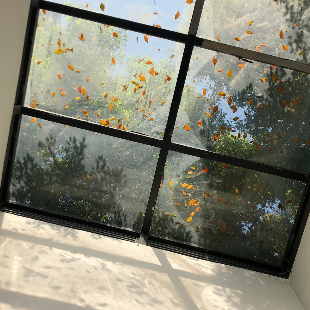 芥末小王