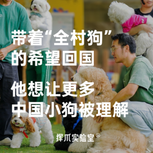E.2 带着“全村狗”的希望回国,他想让更多中国小狗被理解