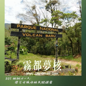 E05地狱十一天：荷兰女孩雨林失踪谜案