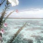 痛苦如影幸福随形